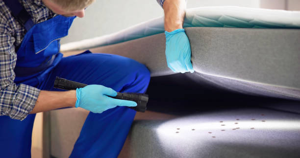 Best Pest Removal Services  in Flora, MS